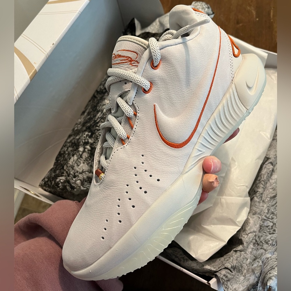 NEVER WORN Nike LeBron XXI